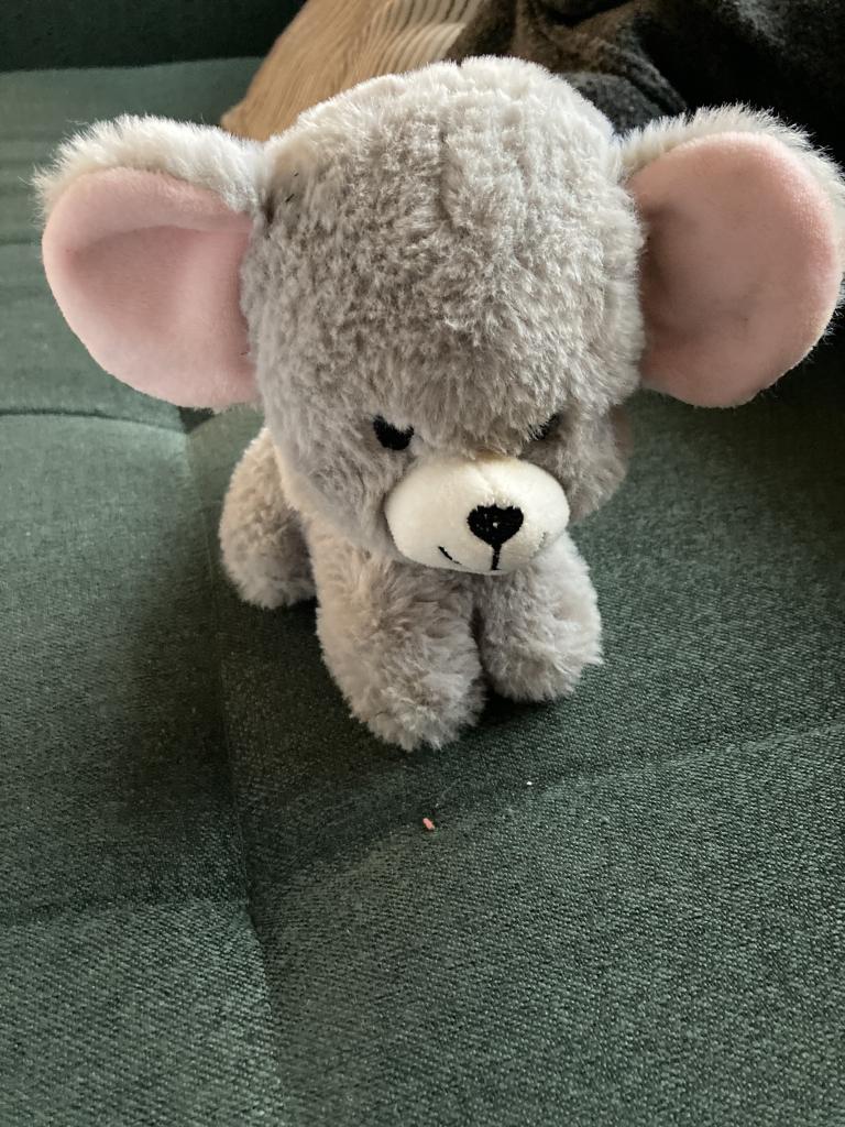 Bamse grå mus