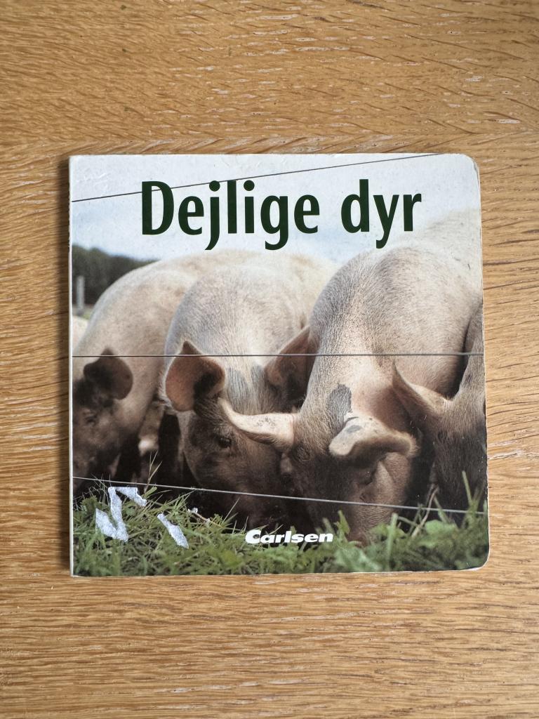 A bog Pegebog dejlige dy