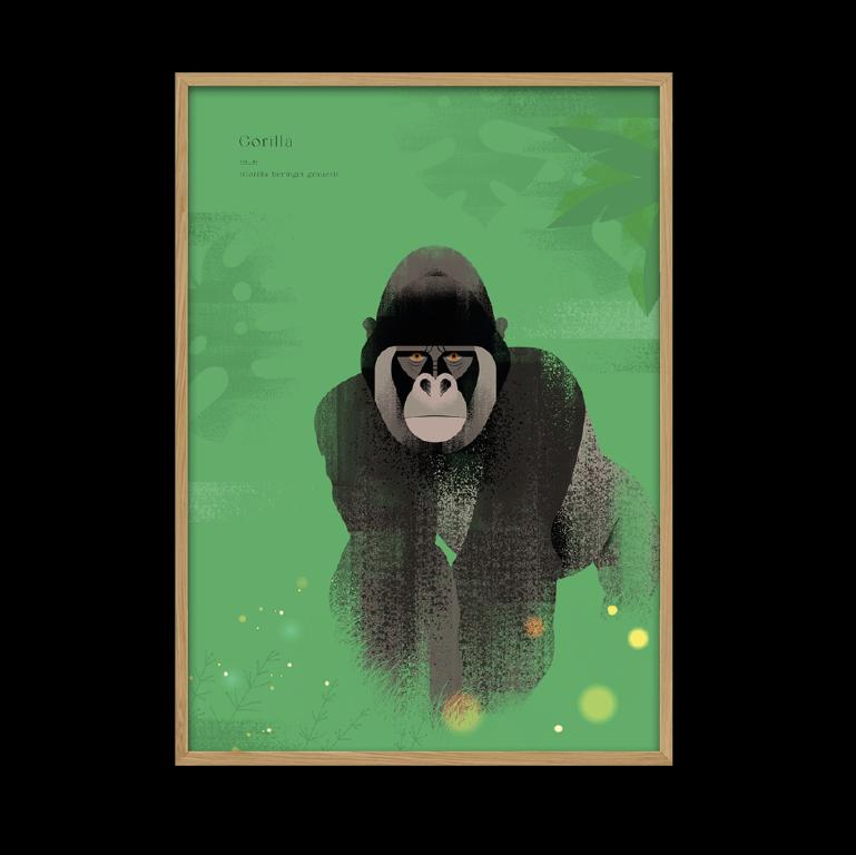 plakat gorilla
