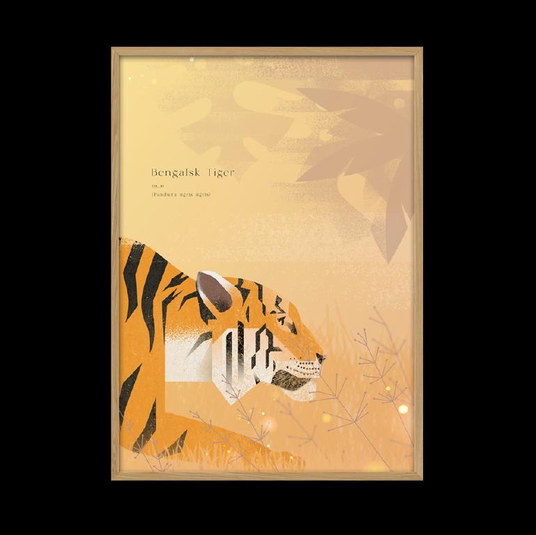 plakat tiger