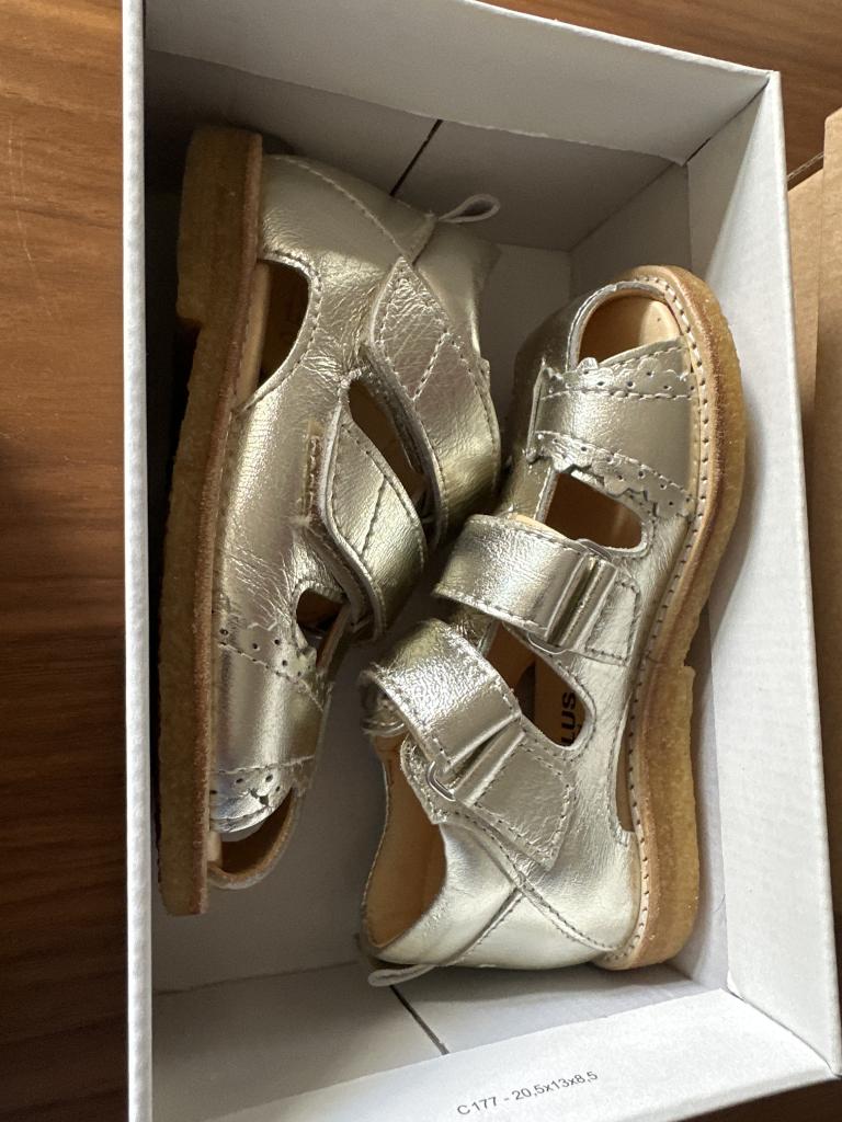 Angulus 23 nye guld