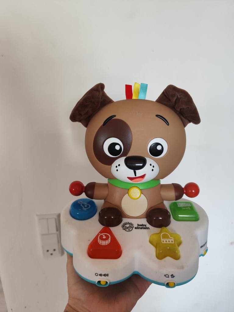 Baby Einstein hund