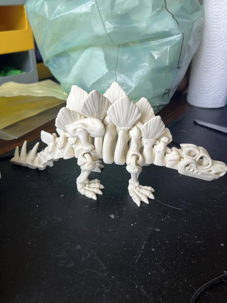 Skeleton Stegosaurus