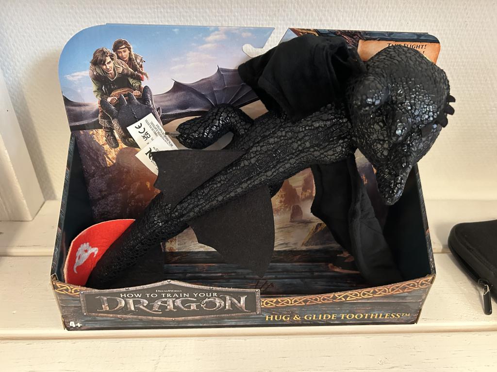 TRAIN YOUR DRAGON