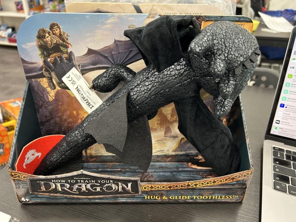 TRAIN YOUR DRAGON