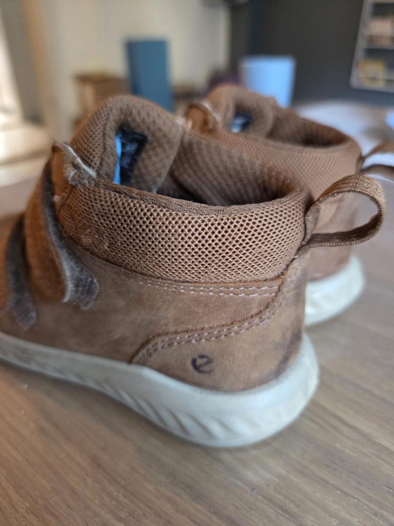 Ecco overgangssko 24