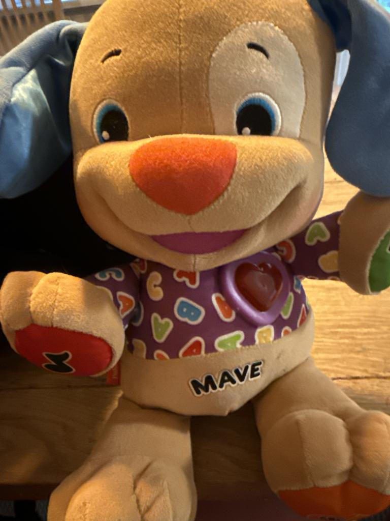 Fisher-Price hund