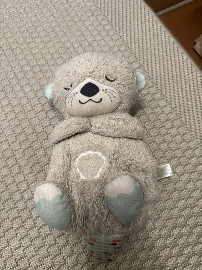 Fischer P.sovebamse
