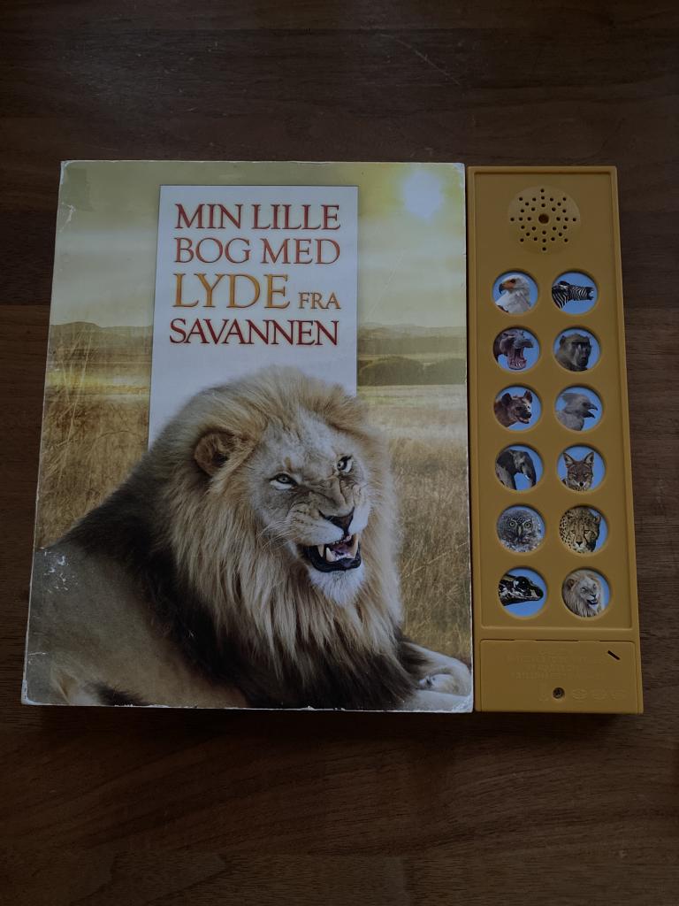 Bog lyde fra savannen