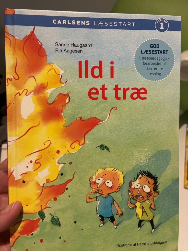 Bog Ild i et træ