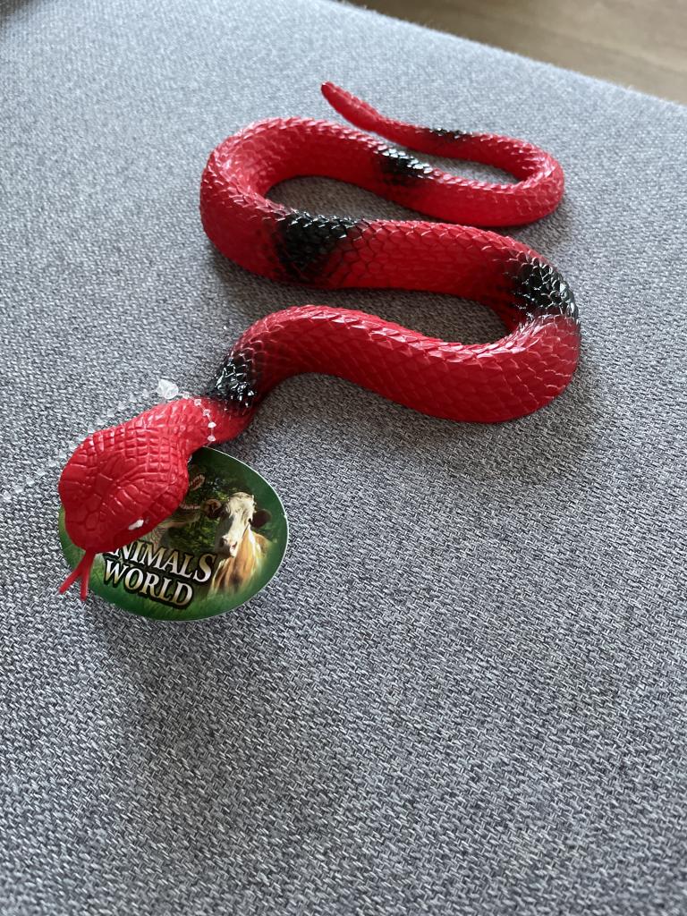 Animals world slange