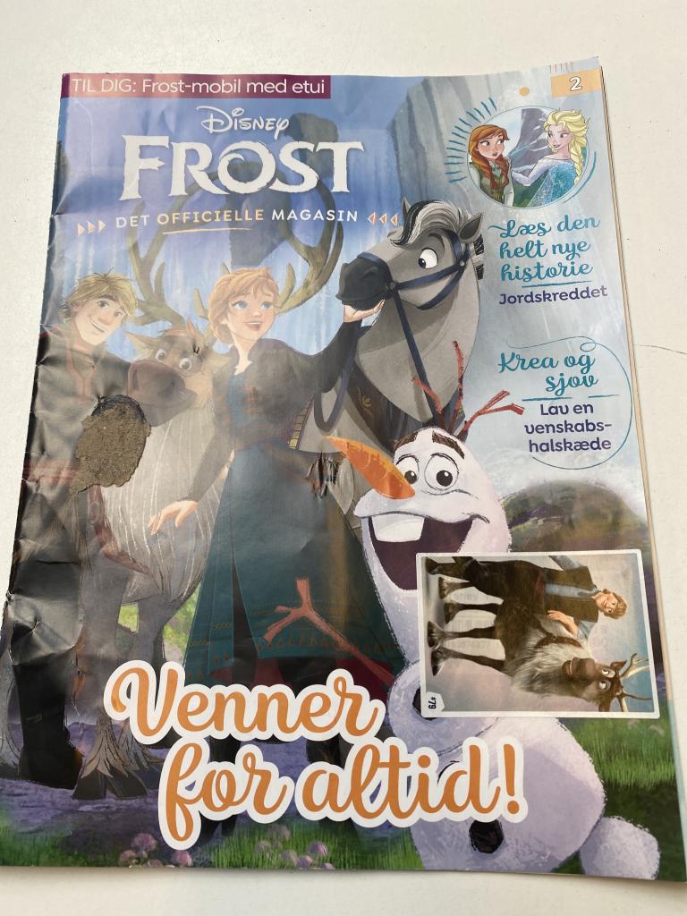 Disney Frost blad