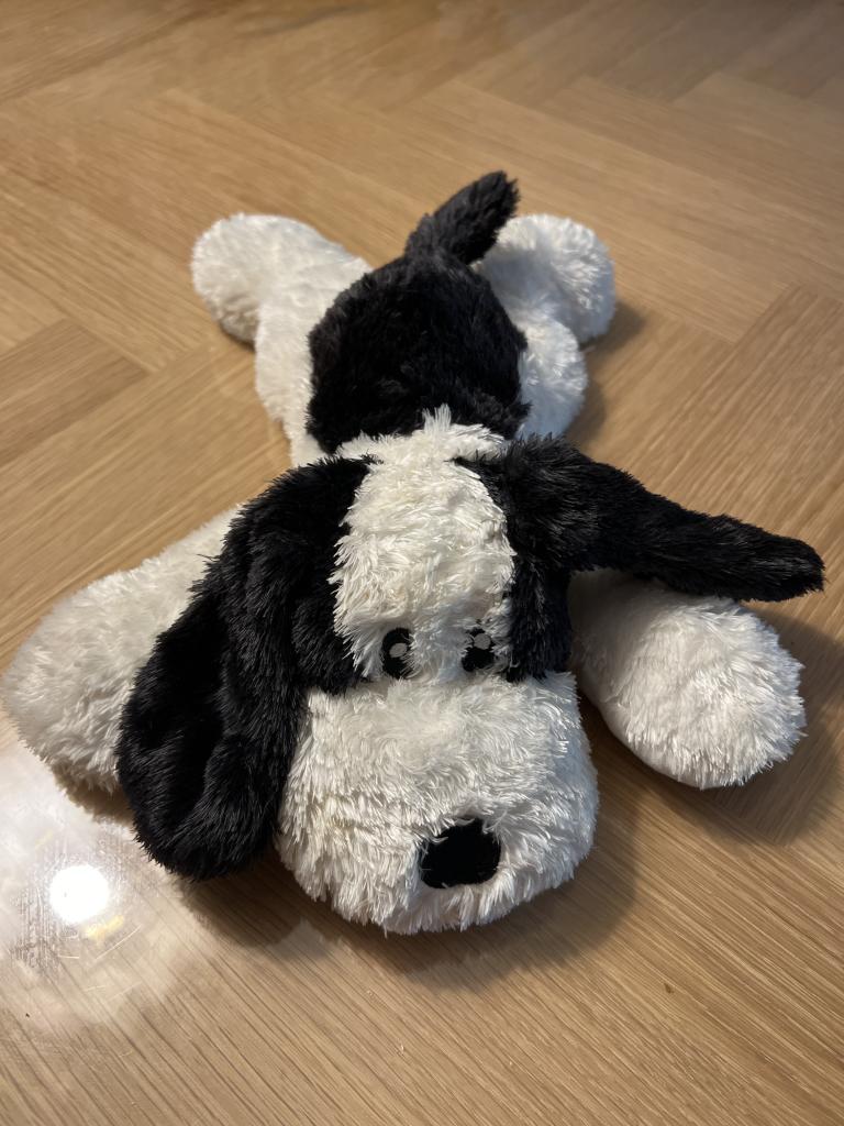 Bamse hund