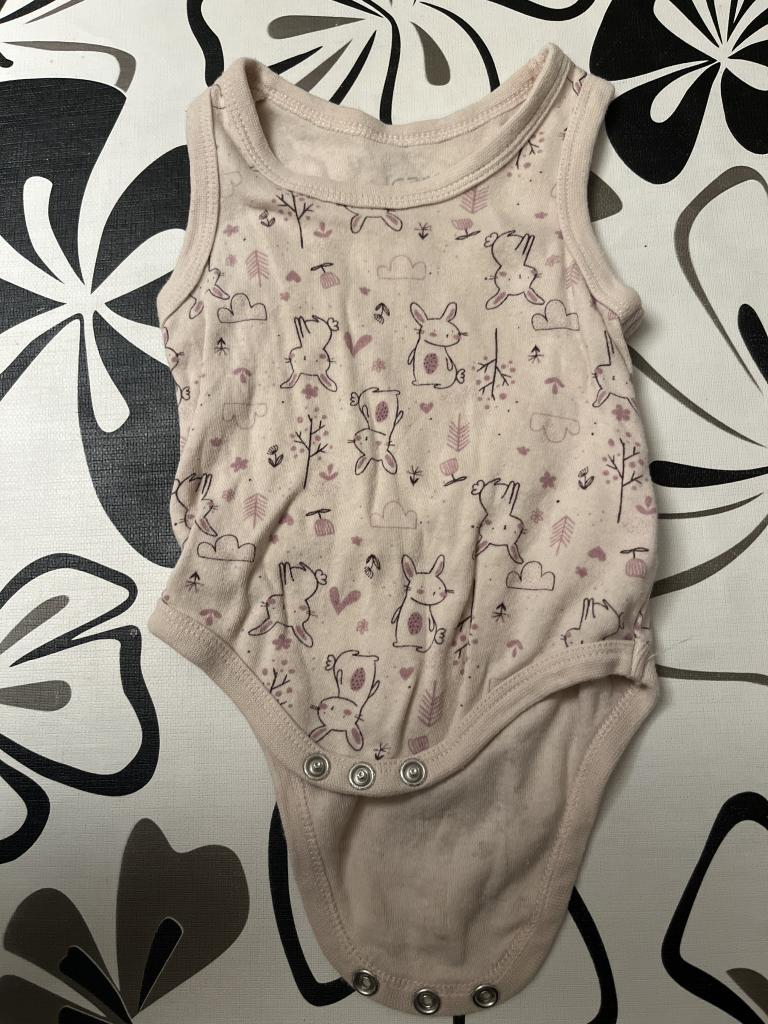 Care body 56