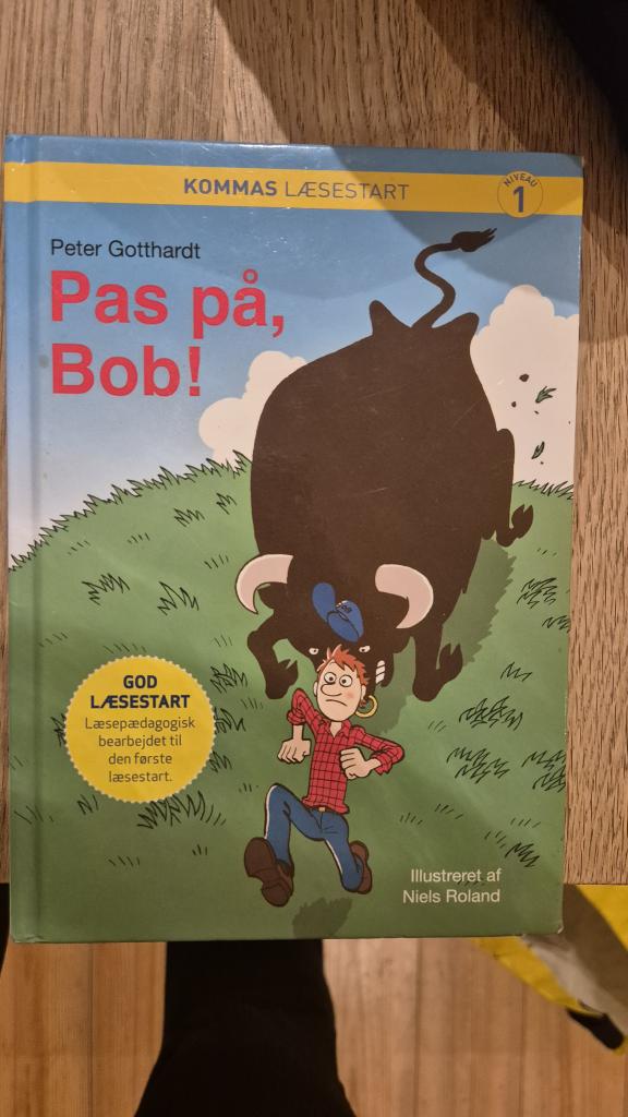 'Bog: Pas på, Bob!