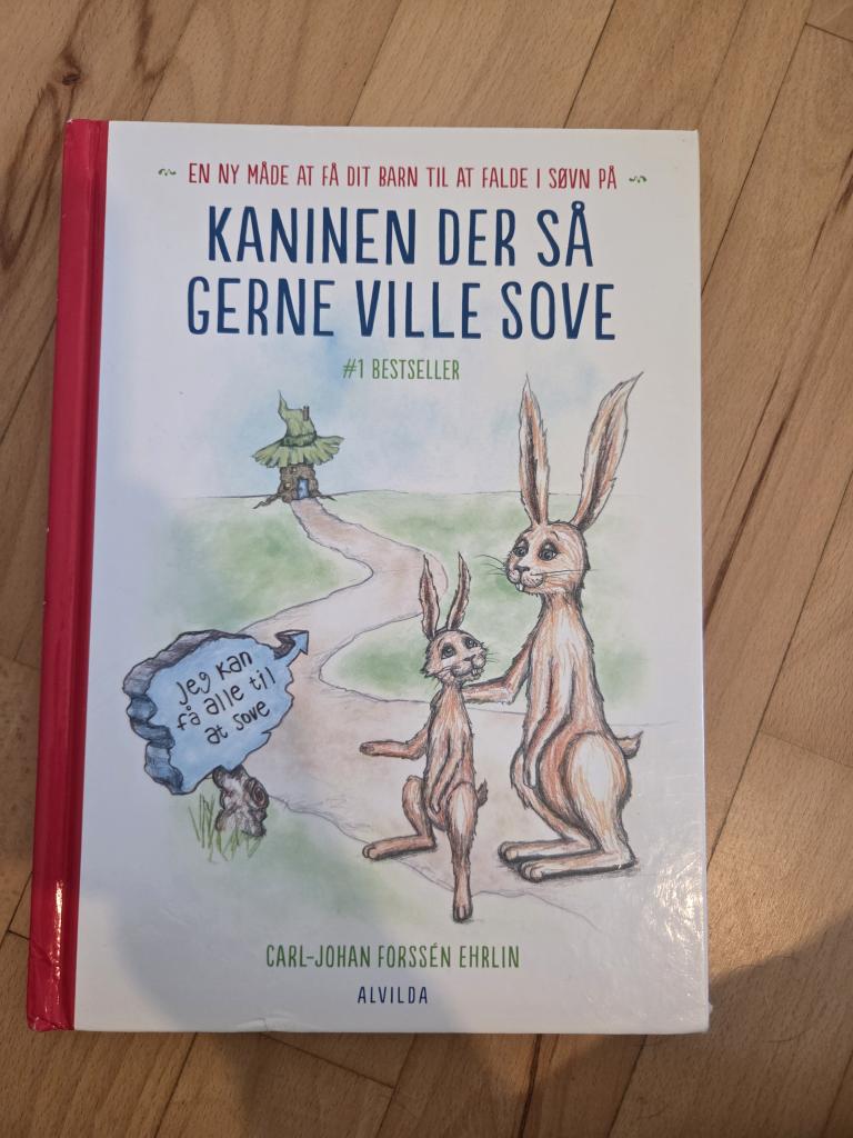 Bog: Kaninen der så gern