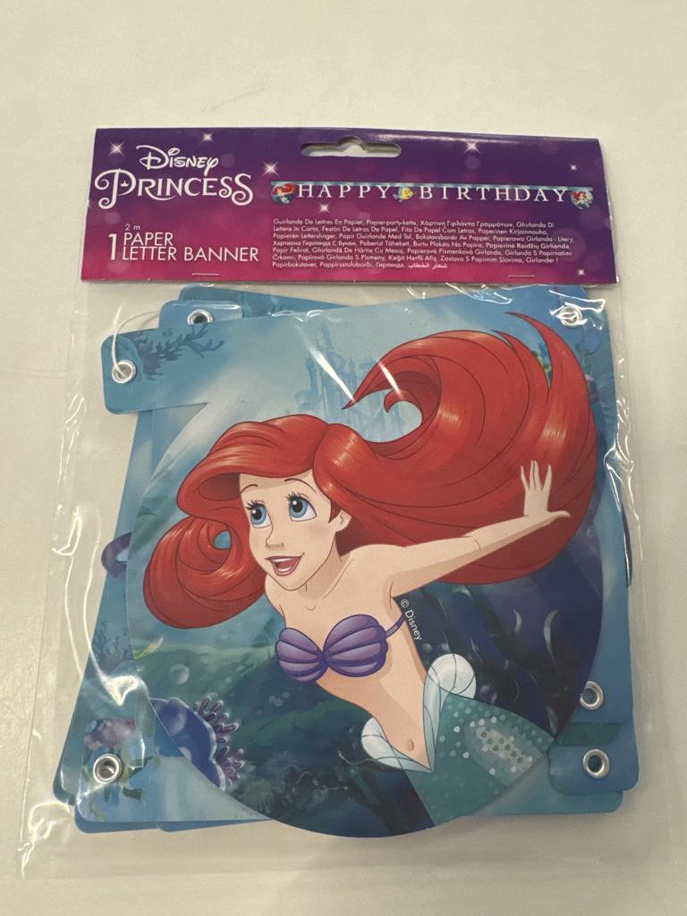 Disney Princess banner