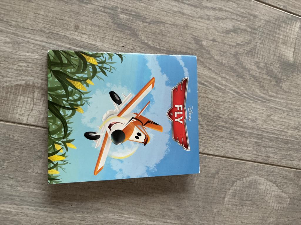 Disney Fly bog