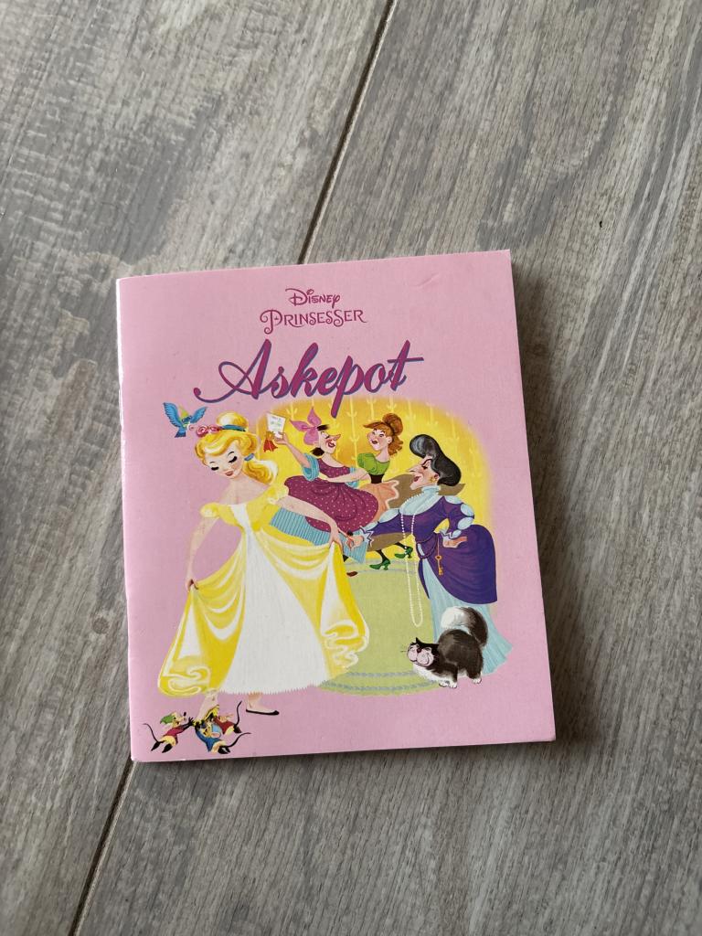 Askepot bog