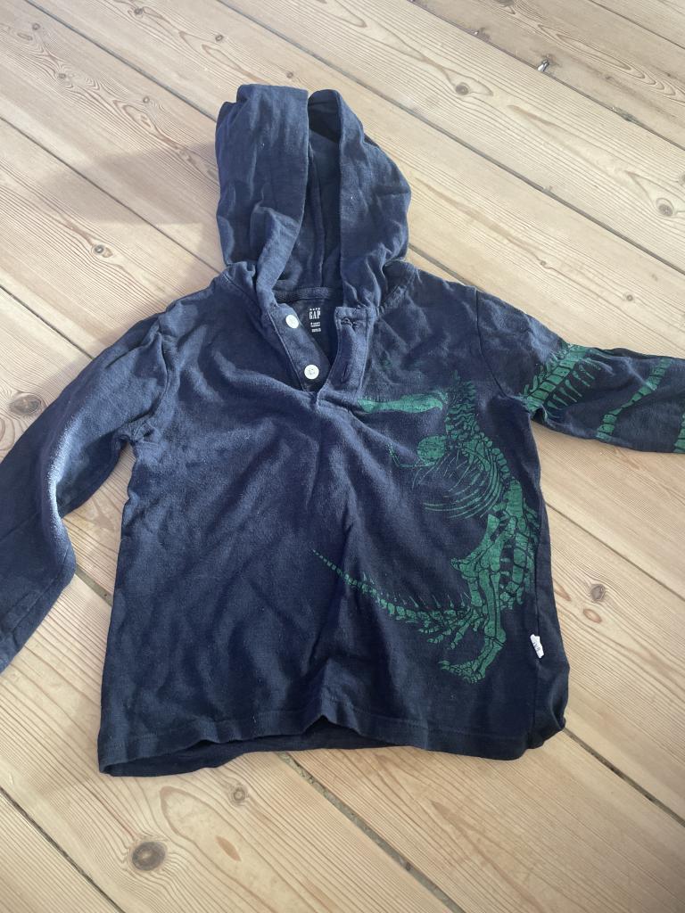 Gap trøje Dino 104