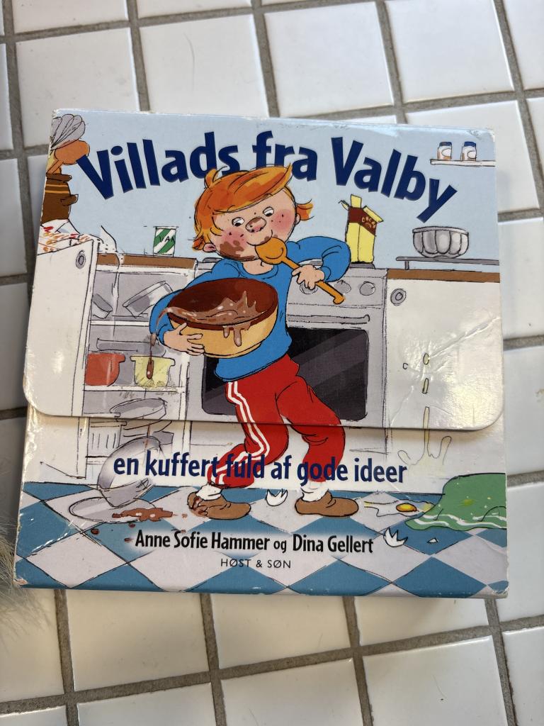 Villads fra Valby bog