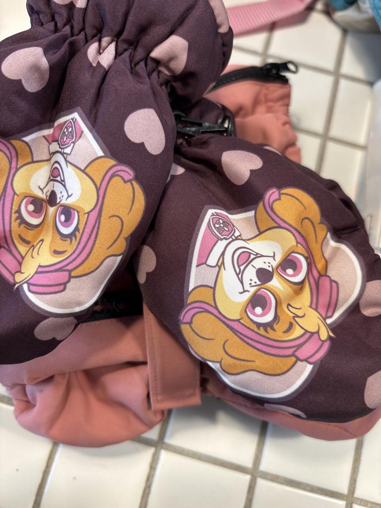 Paw Patrol vanter