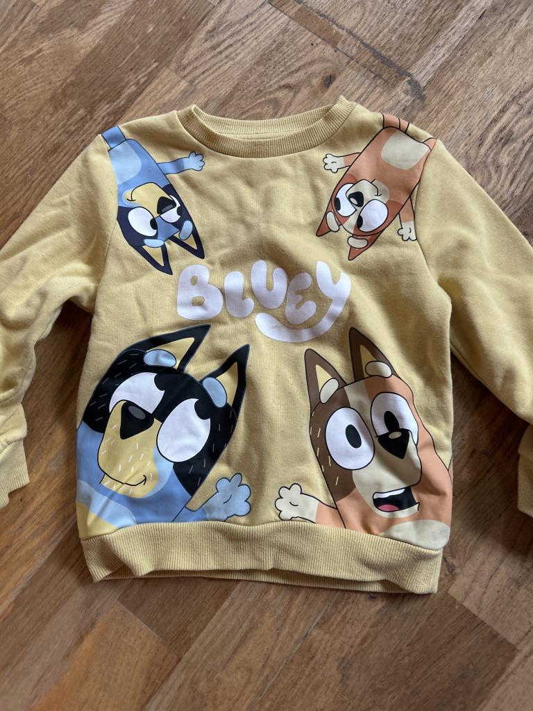 Bluey sweatshirt