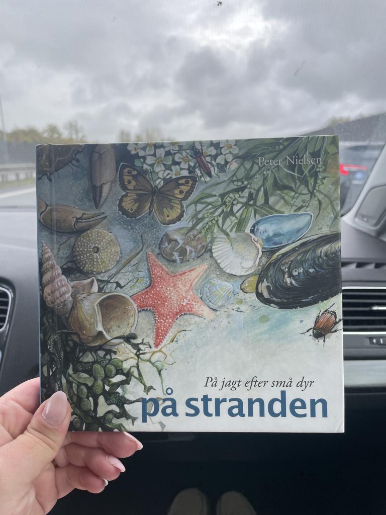 Børnebog om stranden