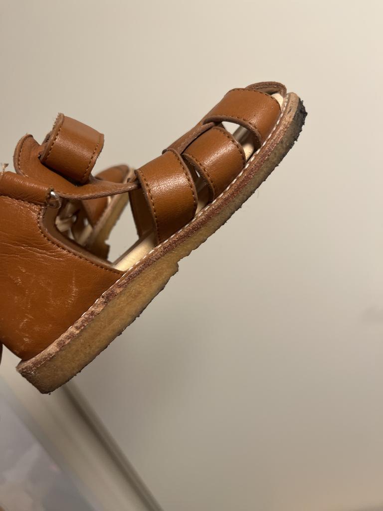 angulus sandaler 24