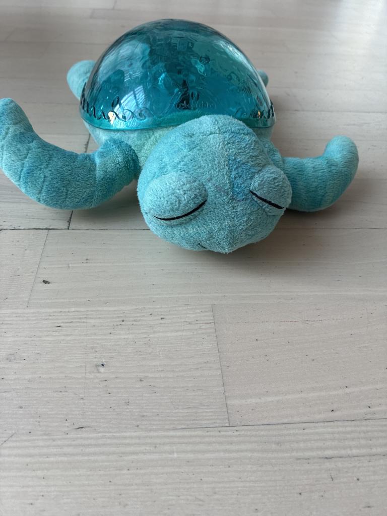 Cloud b skildpadde