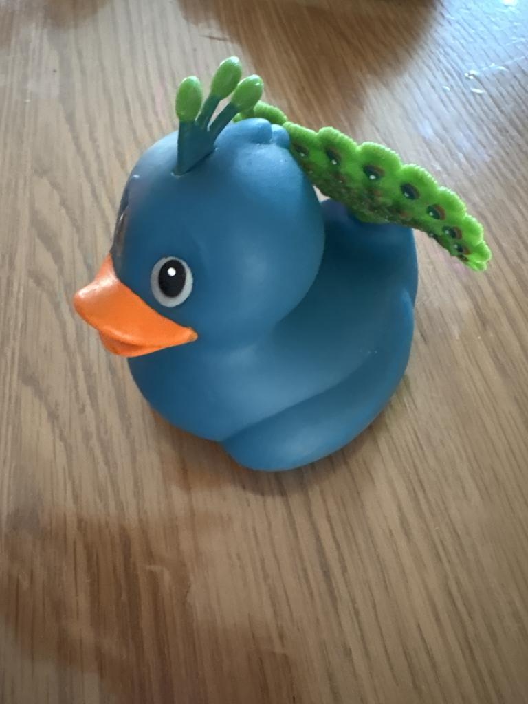 Badeand påfugl