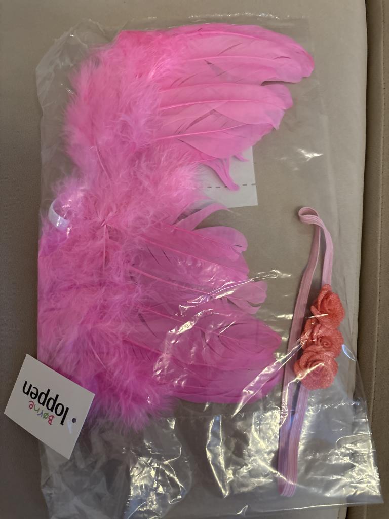 Pink fjer-vinger