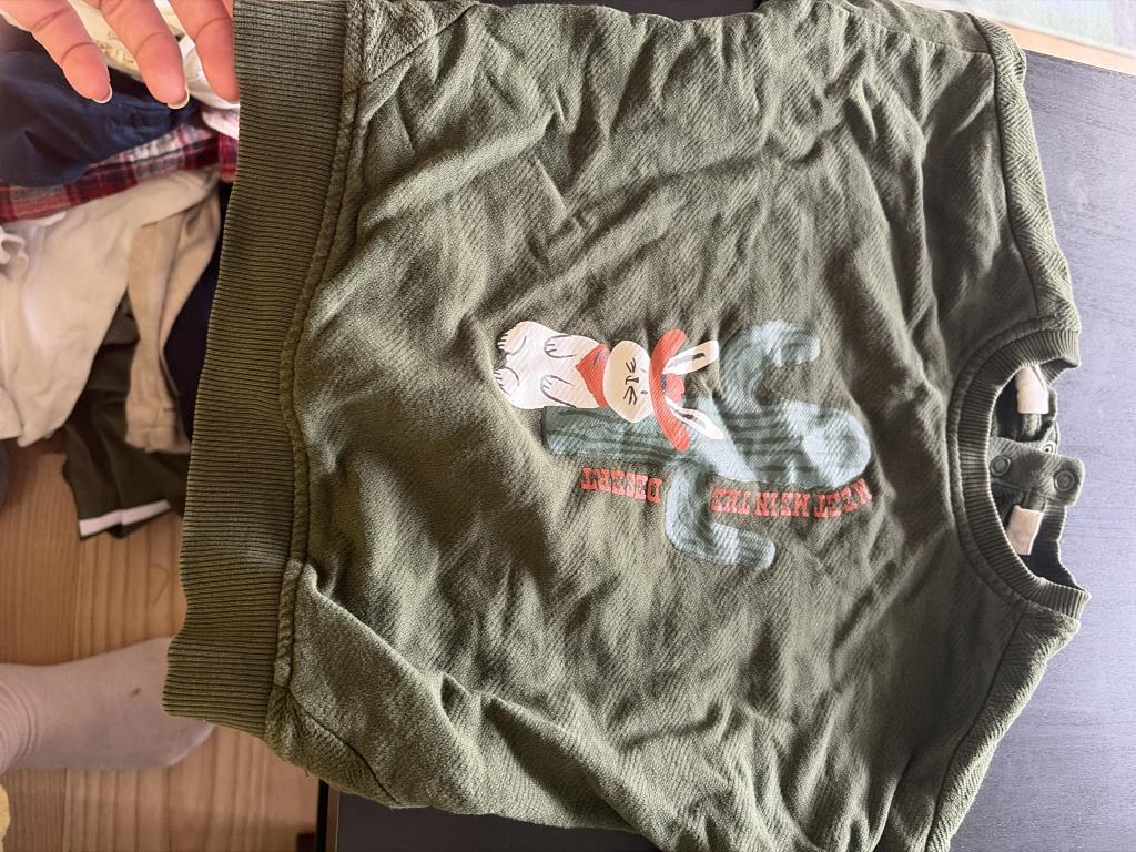 Grøn Lupilu sweatshirt