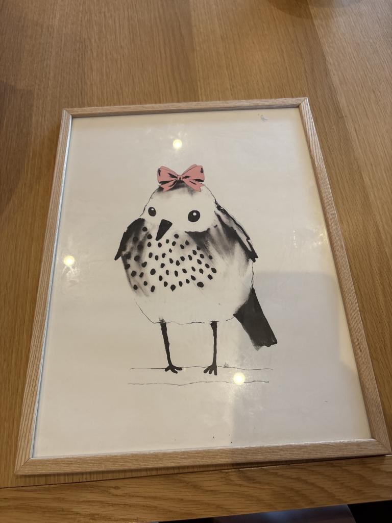 Billede med fugl