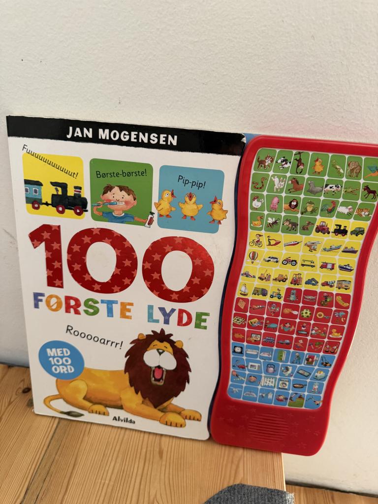 100 første lyde bog