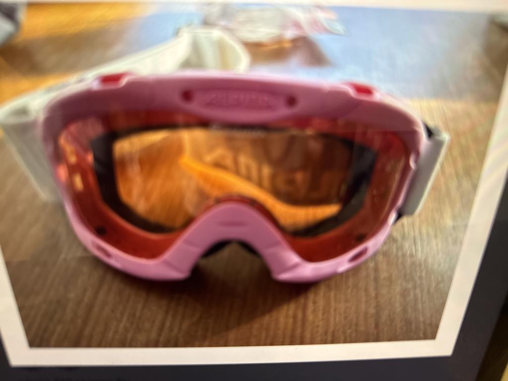 Alpina skibriller