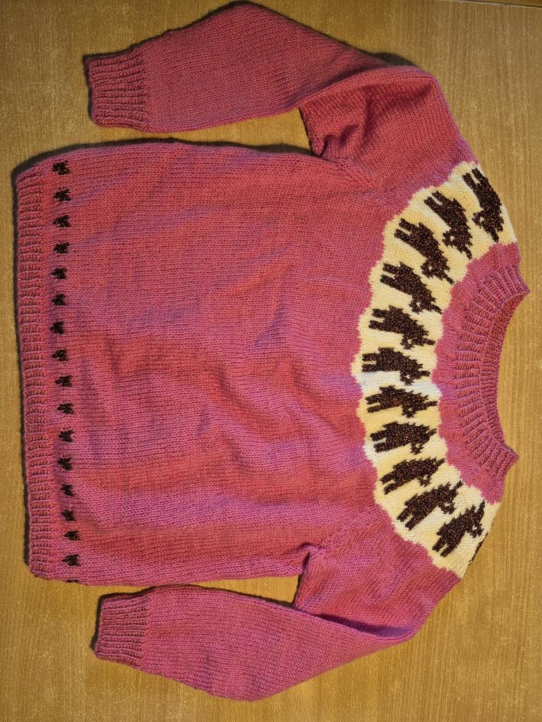 Hjem strik sweater 6-8