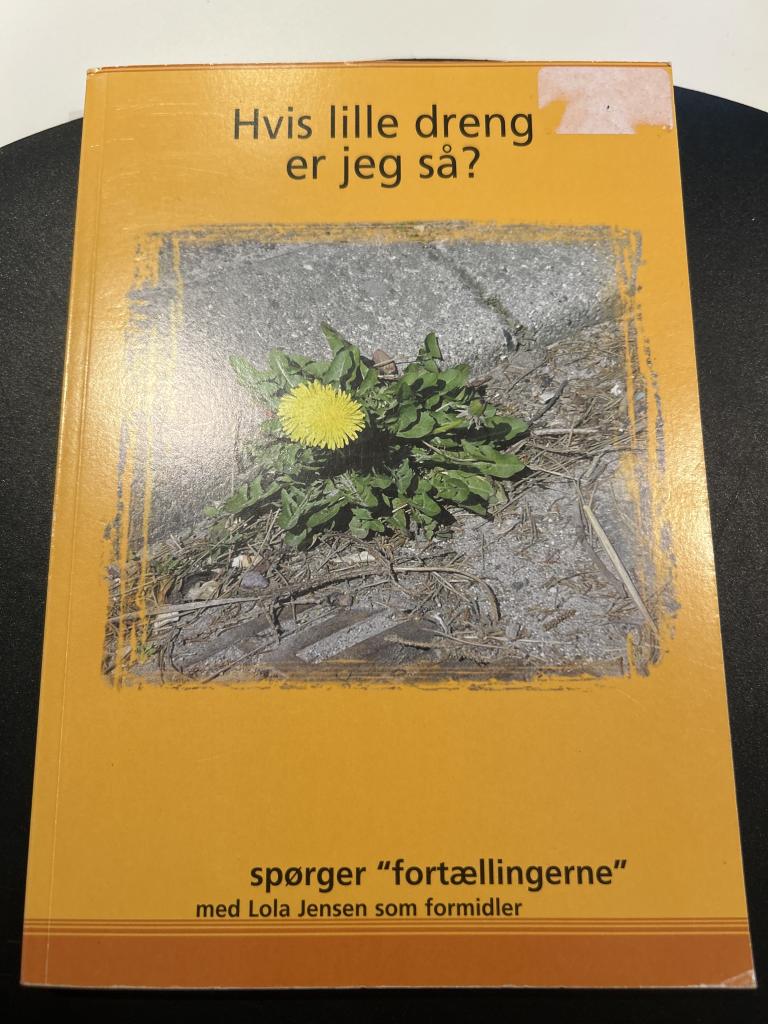 Bogen Hvis lille dreng