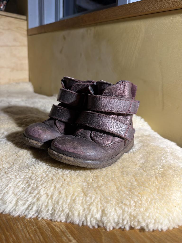 angulus, glimmer lilla,24