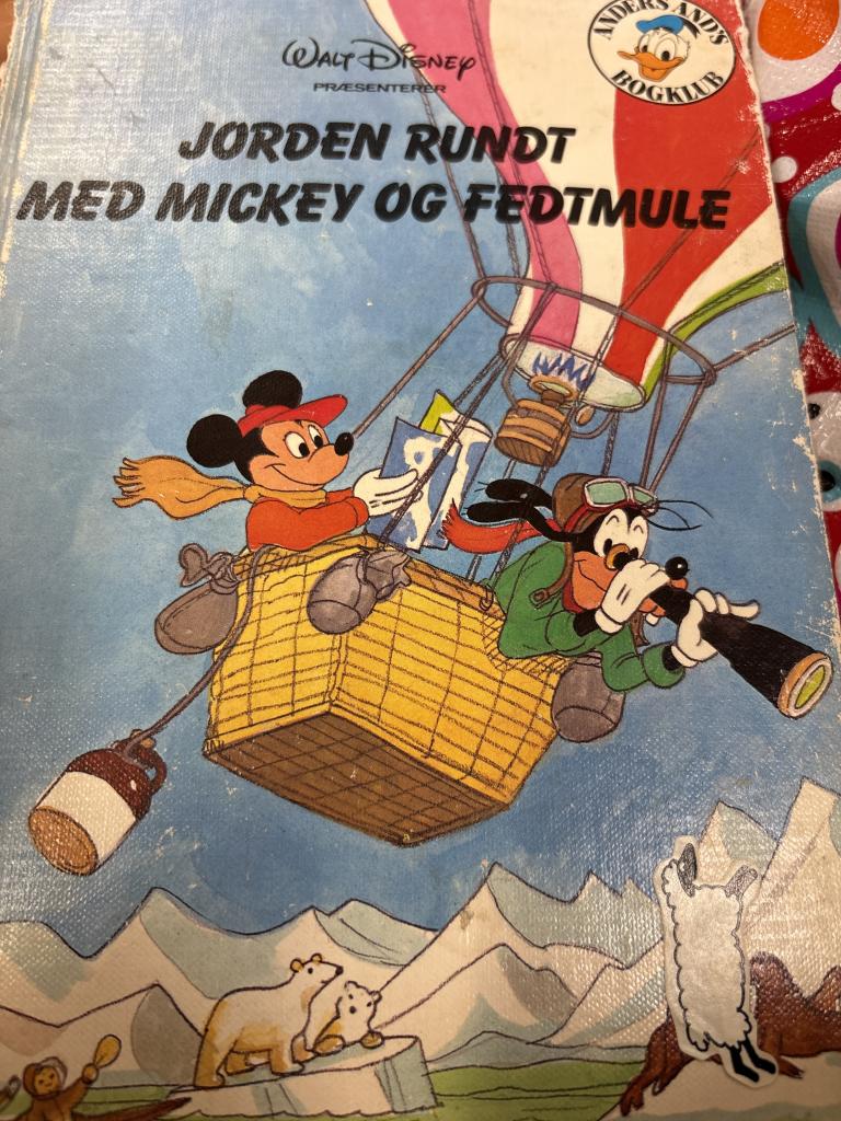 Disney bog