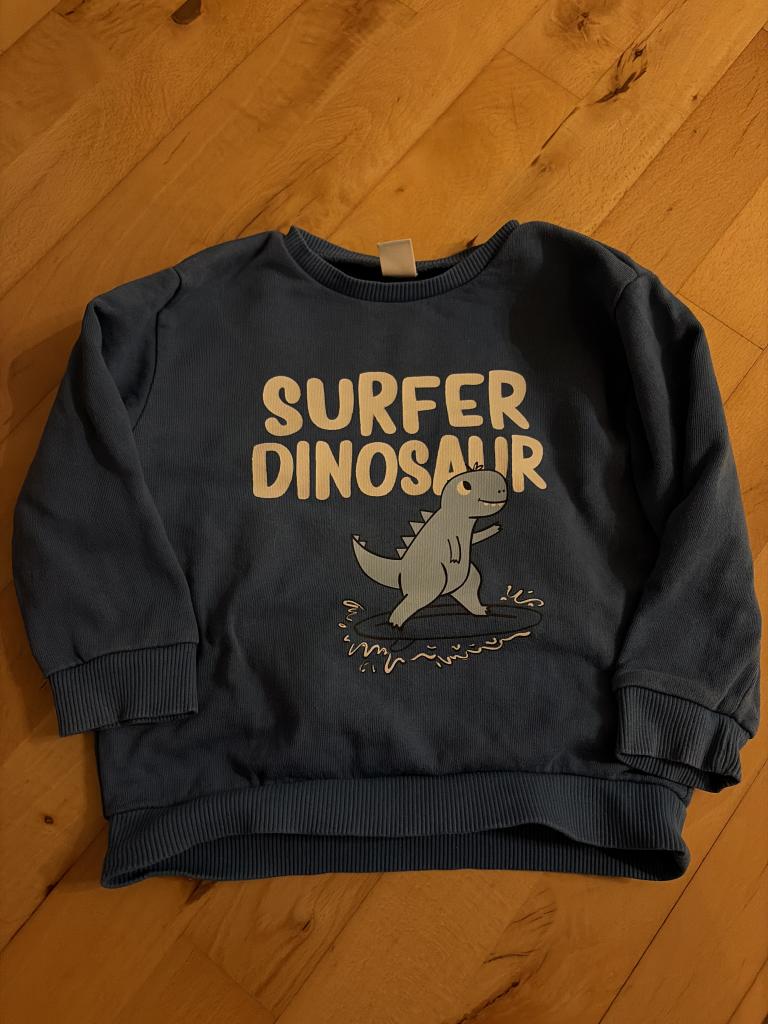 Blå sweatshirt med dino