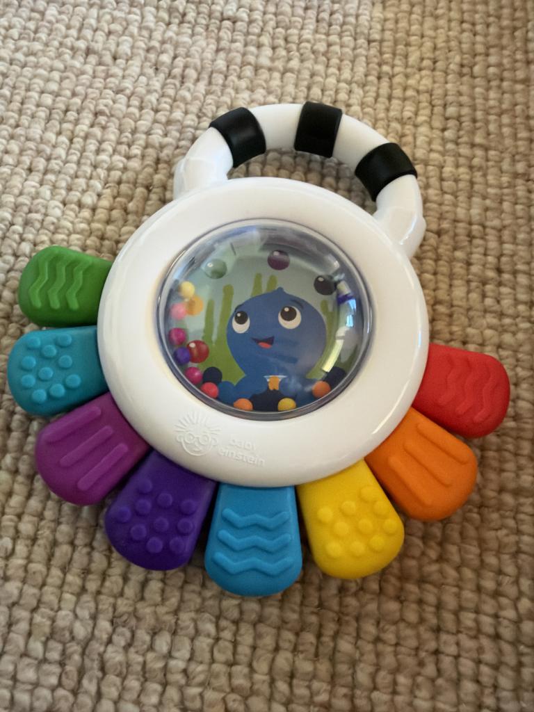 Baby Einstein rangle