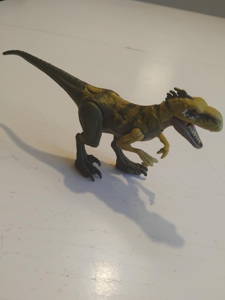 Atrociraptor
