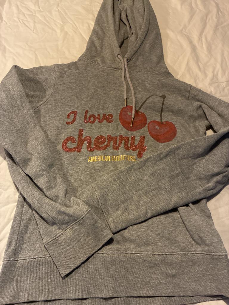 AO hoodie