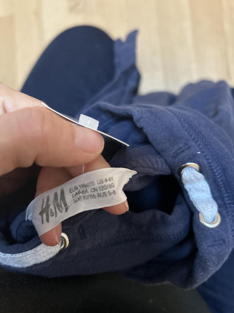 H&M T-rex sweatshirt 110