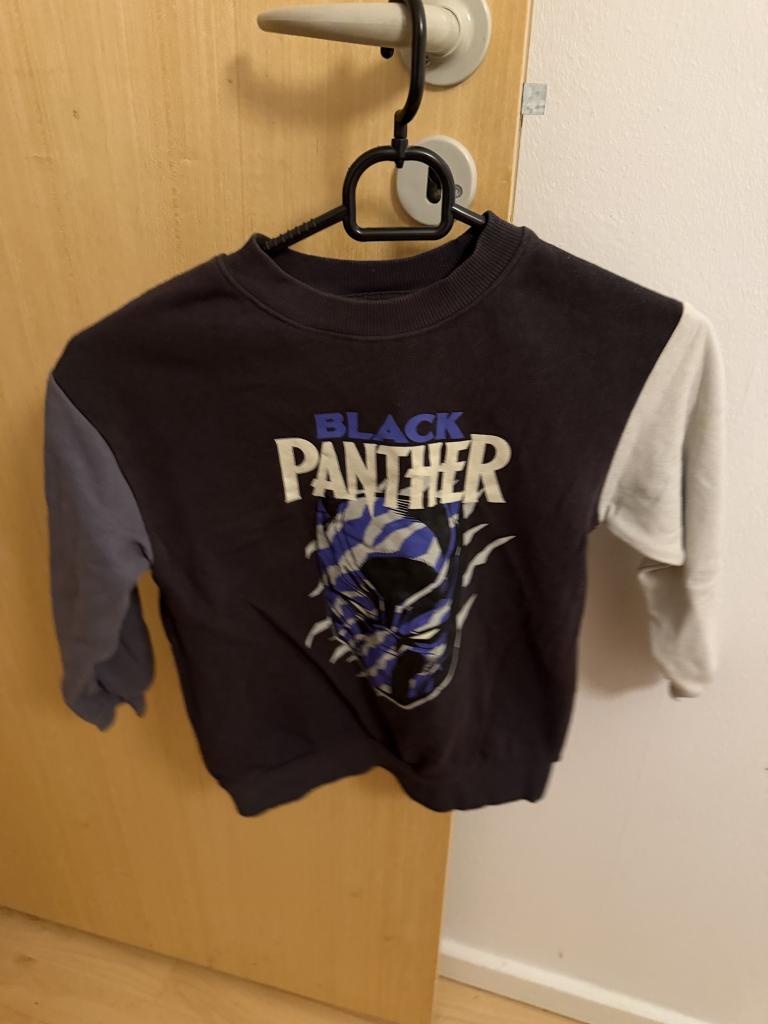 Black panter sweatshirt