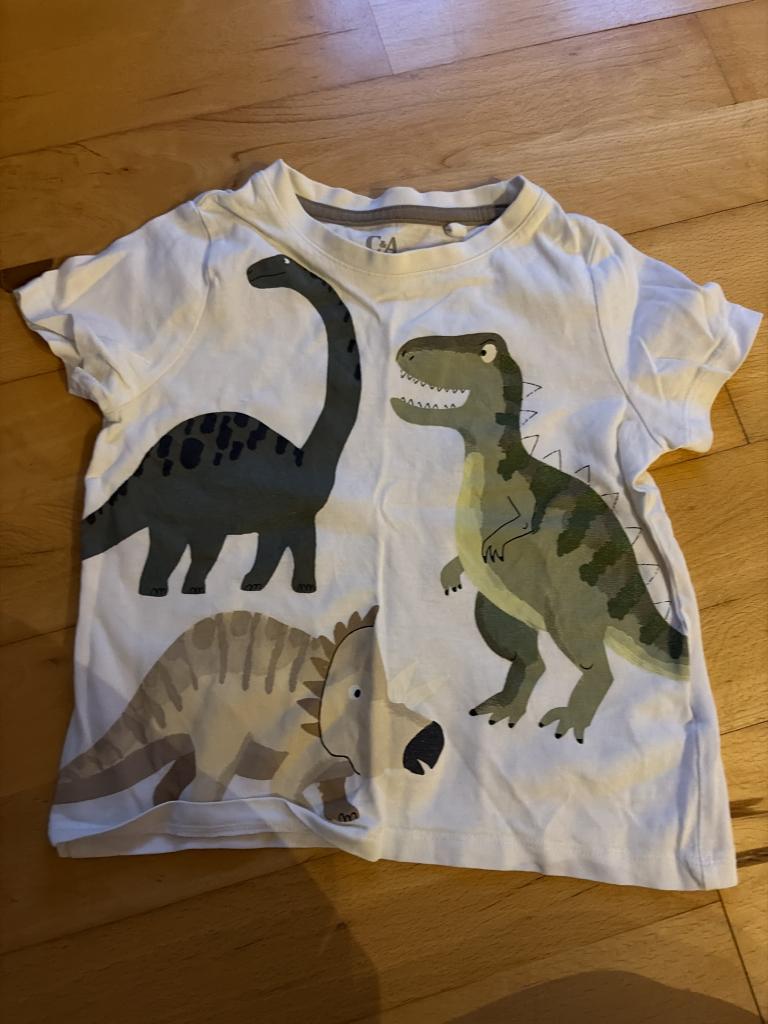 C&A dinosaurus t-shirt