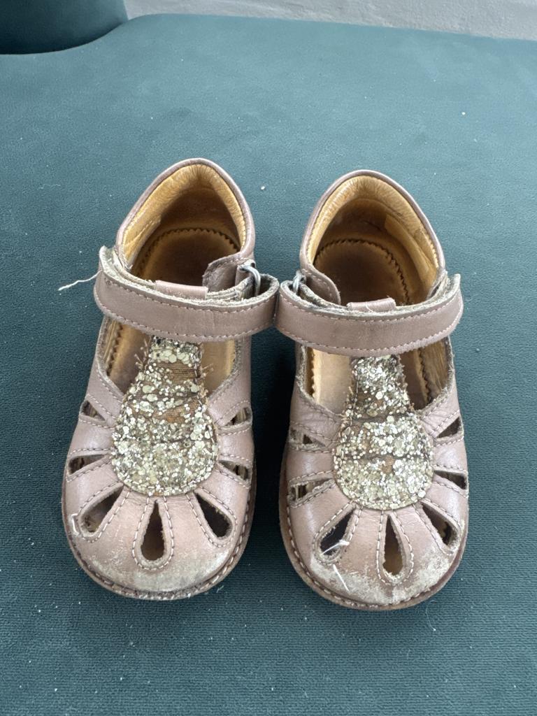 Angulus sandaler