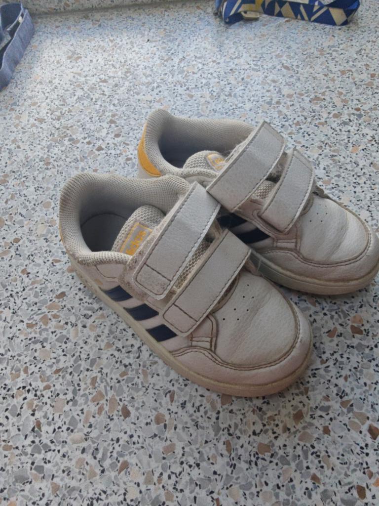 Adidas sneakers