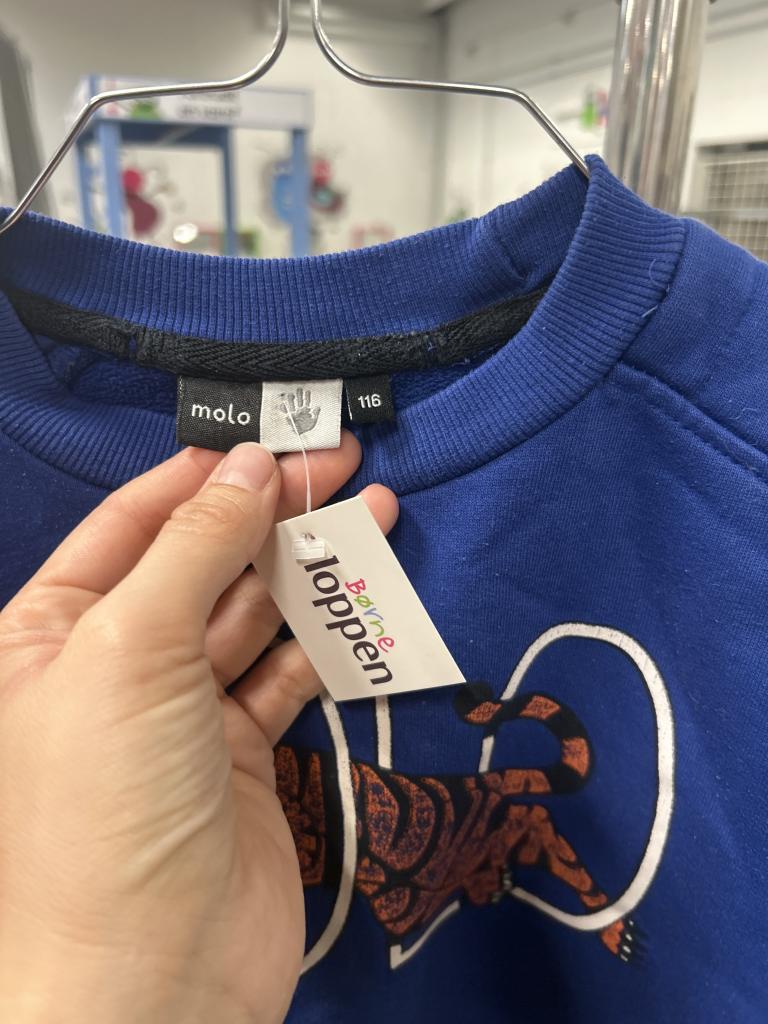 Molo sweatshirt 116